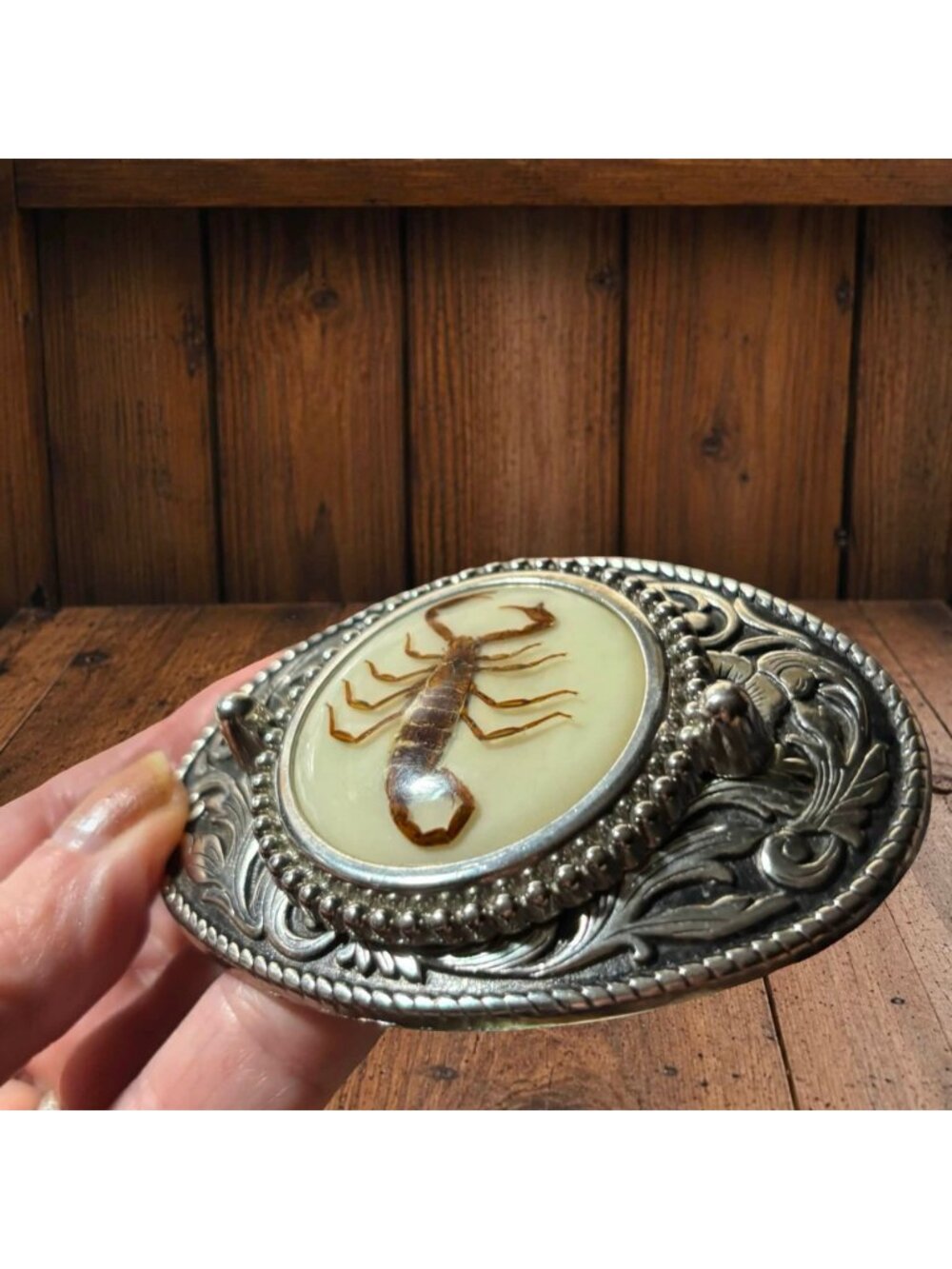 Vintage Scorpion Belt Buckle With Inlaid Resin 1970s INSECT Fashion Unisex Oddit - Picture 5 of 6